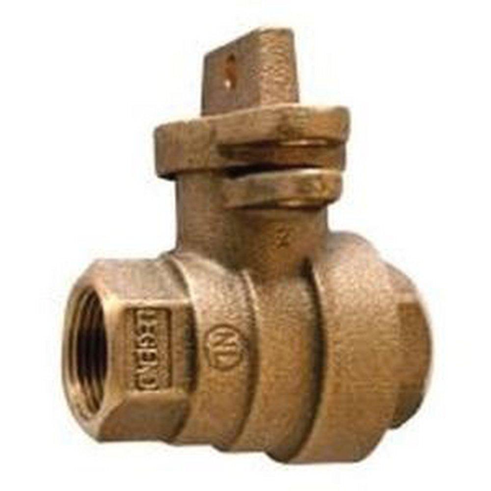 lf 1-1/4 t-5500 fip x fip lw curb 