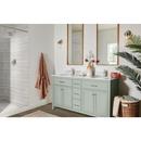Single Handle Monoblock Bathroom Sink Faucet in Brushed Nickel 