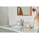 Single Handle Monoblock Bathroom Sink Faucet in Brushed Nickel 