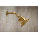 KOHLER Vibrant Brushed Moderne Brass Single Function Showerhead 