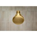 KOHLER Vibrant Brushed Moderne Brass Single Function Showerhead 