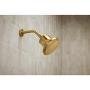 KOHLER Vibrant Brushed Moderne Brass Single Function Showerhead 