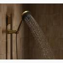 SPAVIVA 2 WAY HNDSWR W DEVICE 1.75 GPM 