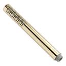Single Function Hand Shower in Polished Brass