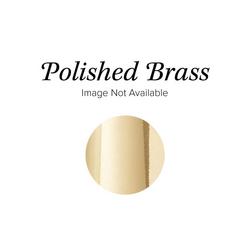 Single Function Showerhead in Polished Brass