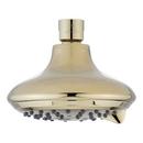 Signature Hardware Polished Brass Multi Function Showerhead 