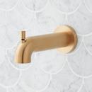 Signature Hardware Polished Brass Adjustable Wall Bracket 
