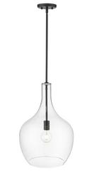 1-Light Pendant Light in Matte Black 