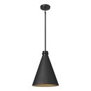 1-Light Outdoor Hanging Lantern in Textured Black 