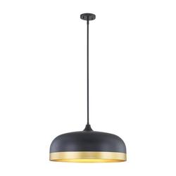 4-Light Pendant Light in Matte Black