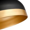 4-Light Pendant Light in Matte Black 