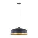 4-Light Pendant Light in Matte Black 