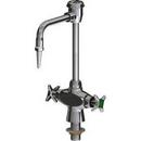 Two Handle Laboratory Faucet in Polished Chrome 