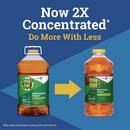 80 oz. Original Concentrate (Case of 3) 
