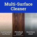 80 oz. Concentrate in Lemon Scent (Case of 3) 