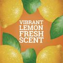 80 oz. Concentrate in Lemon Scent (Case of 3) 