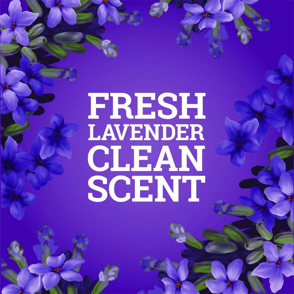 80 oz. Concentrate in Lavender Scent (Case of 3) 