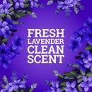 80 oz. Concentrate in Lavender Scent (Case of 3) 