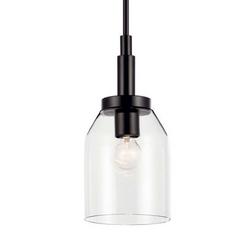 100W 1-Light E26 Mini Pendant in Black / Clear Glass