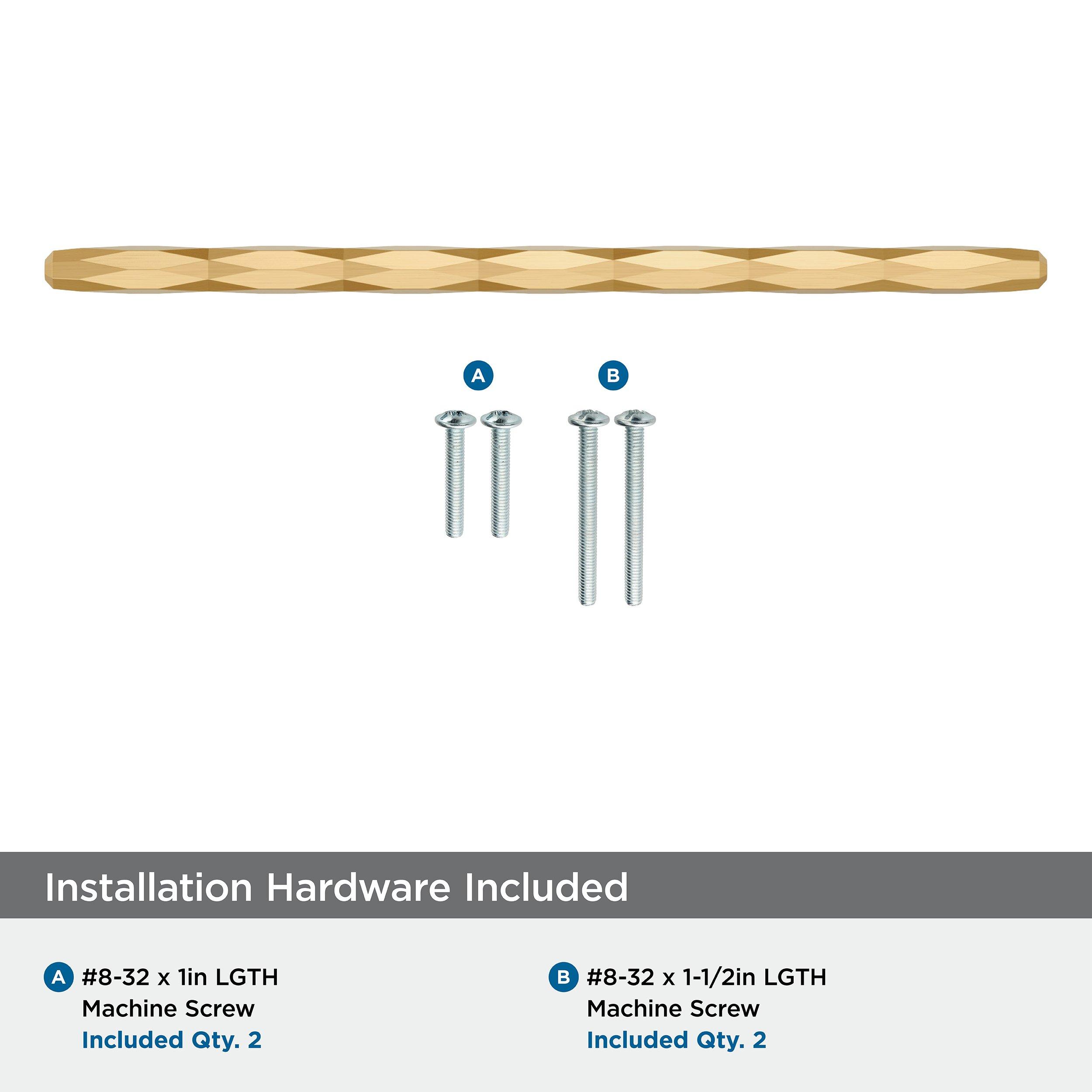 Amerock Champagne Bronze 10-1/16 in. Center-to-Center Pull 