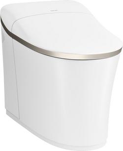 0.8/1.0 gpf Dual Flush Elongated One Piece Smart Toilet in White and Brushed Nickel