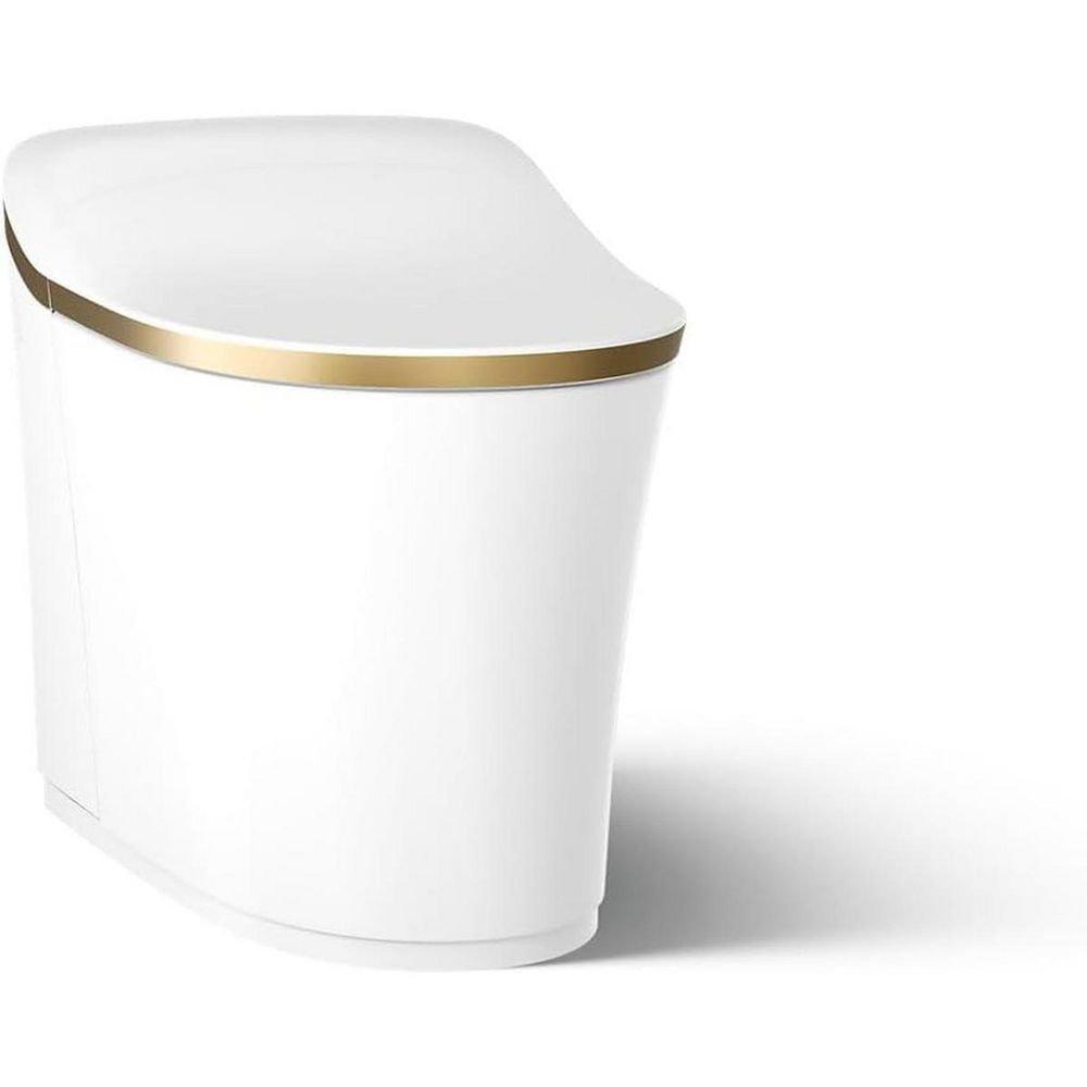 0.8/1.0 gpf Dual Flush Elongated One Piece Smart Toilet in White and Moderne Brushed Brass 