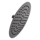 Single Function Showerhead in Gunmetal