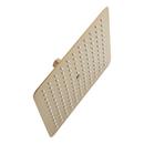 Single Function Showerhead in Brushed Gold