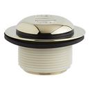 Signature Hardware Polished Brass Brass Toe-Tap Drain 
