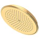 Single Function Showerhead in Uncoated Polished Brass - Living