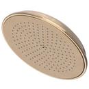 Single Function Showerhead in Antique Brass