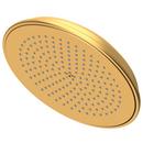 Single Function Showerhead in Satin Bronze - PVD