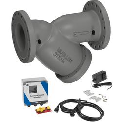 24 in. Cast Iron Flanged Y-Strainer 250#