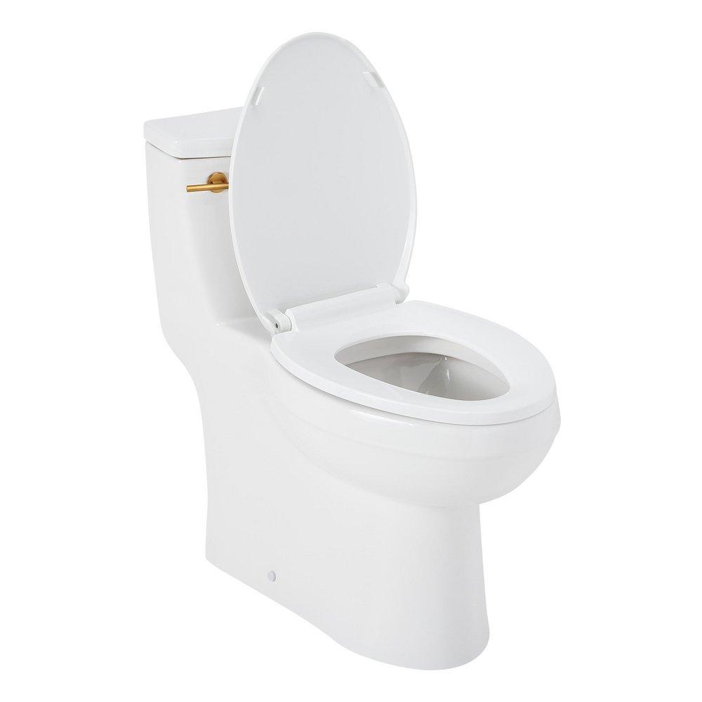 BRINSTEAD ONE-PIECE ELONGATED SKIRTED TOILET - BRUSHED GOLD HANDLE 