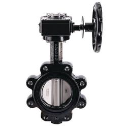 6 in. DI FULL LUG BFV IP6 in.7 RATED GO