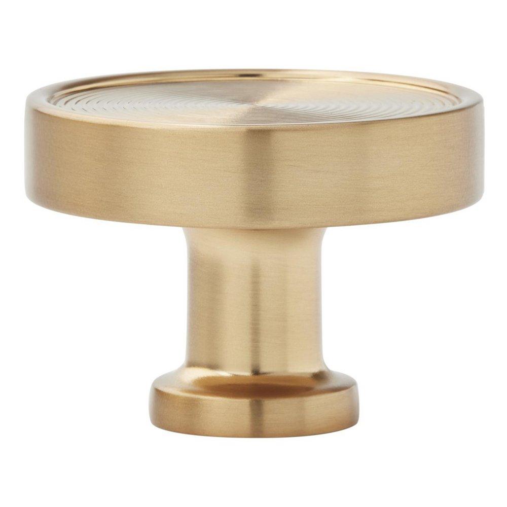 Signature Hardware Champagne Bronze 1-1/4 in. Cabinet Knob 