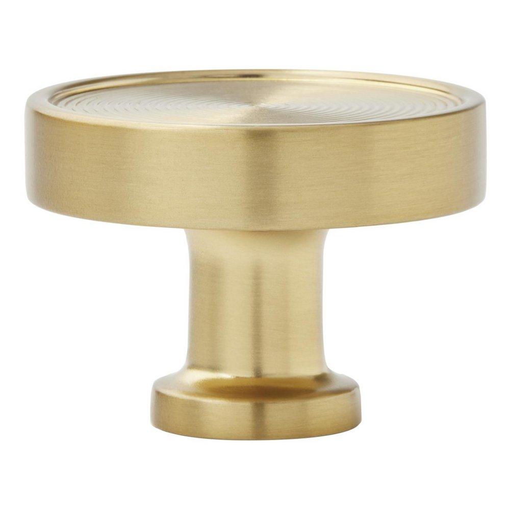 Signature Hardware Golden Champagne 1-1/4 in. Cabinet Knob 