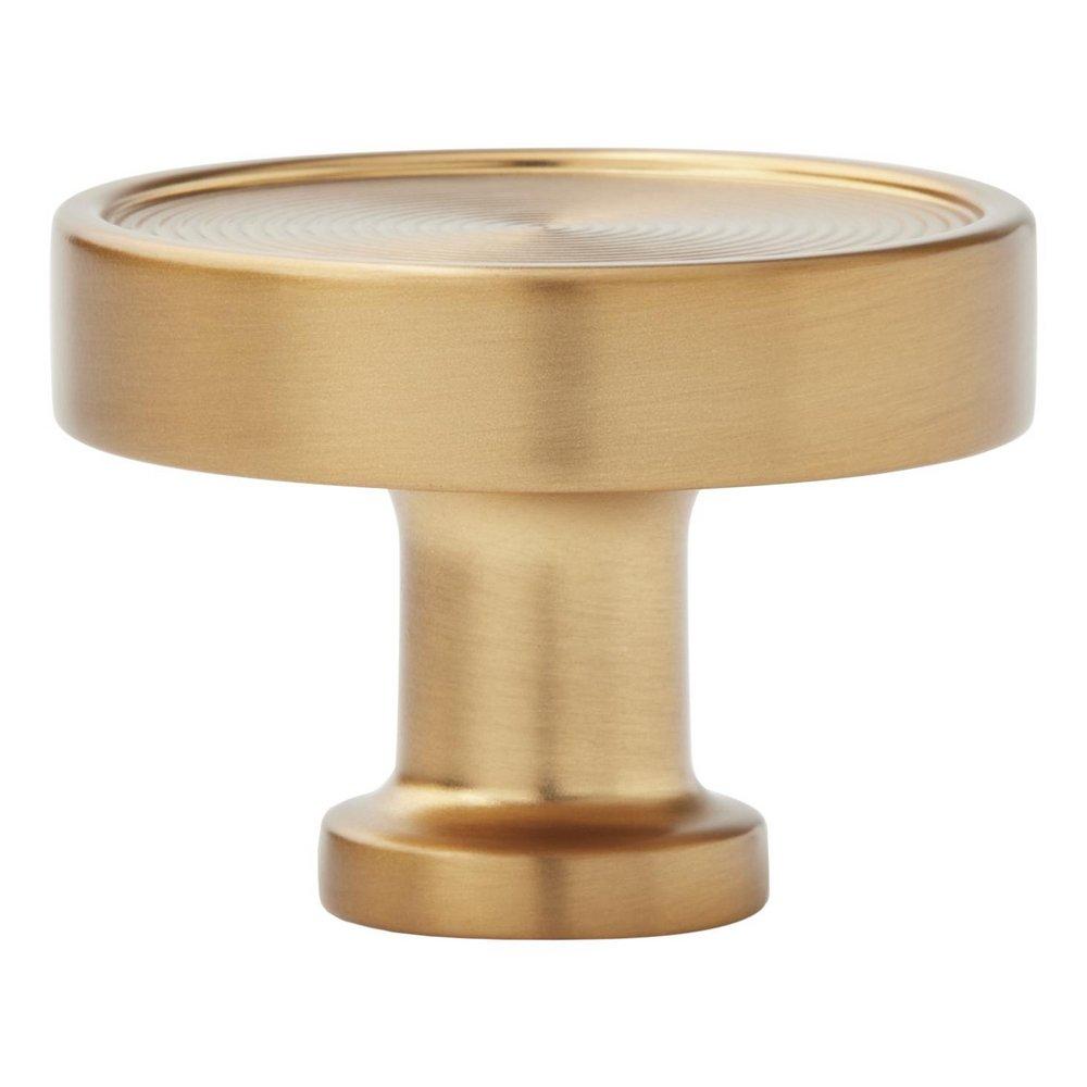 Signature Hardware Brushed Gold 1-3/4 in. Cabinet Knob 