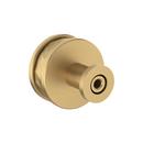 Signature Hardware Champagne Bronze 1-1/4 in. Cabinet Knob 