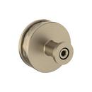 Signature Hardware Golden Champagne 1-1/2 in. Cabinet Knob 