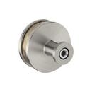 Signature Hardware Golden Champagne 1-1/2 in. Cabinet Knob 