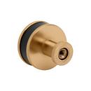 Signature Hardware Brushed Gold 1-1/4 in. Cabinet Knob 