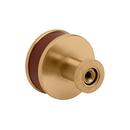 Signature Hardware Brushed Gold 1-1/4 in. Cabinet Knob 