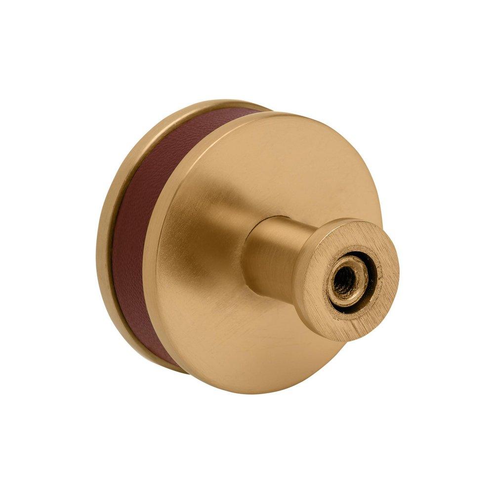 Signature Hardware Brushed Gold 1-1/2 in. Cabinet Knob 
