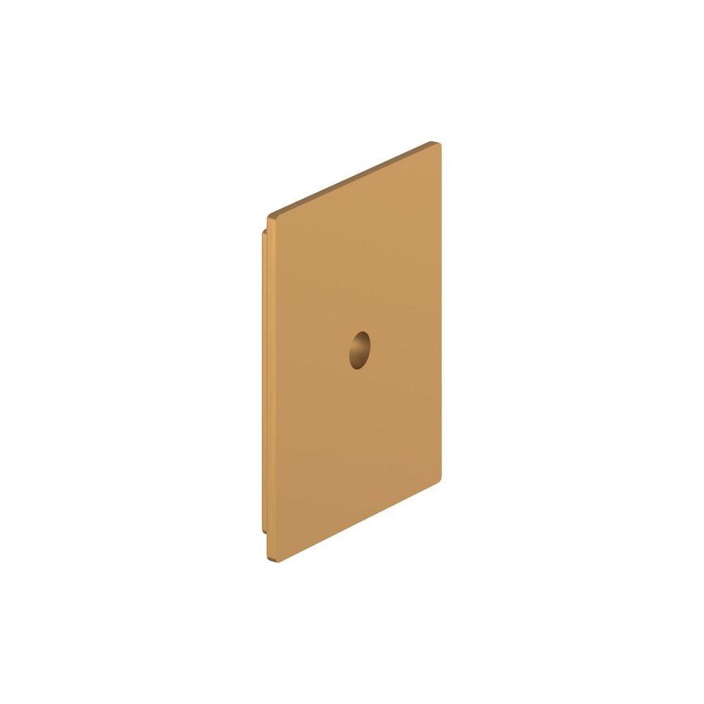 Cabinet Knob Backplate- 1-5/8"- BG 