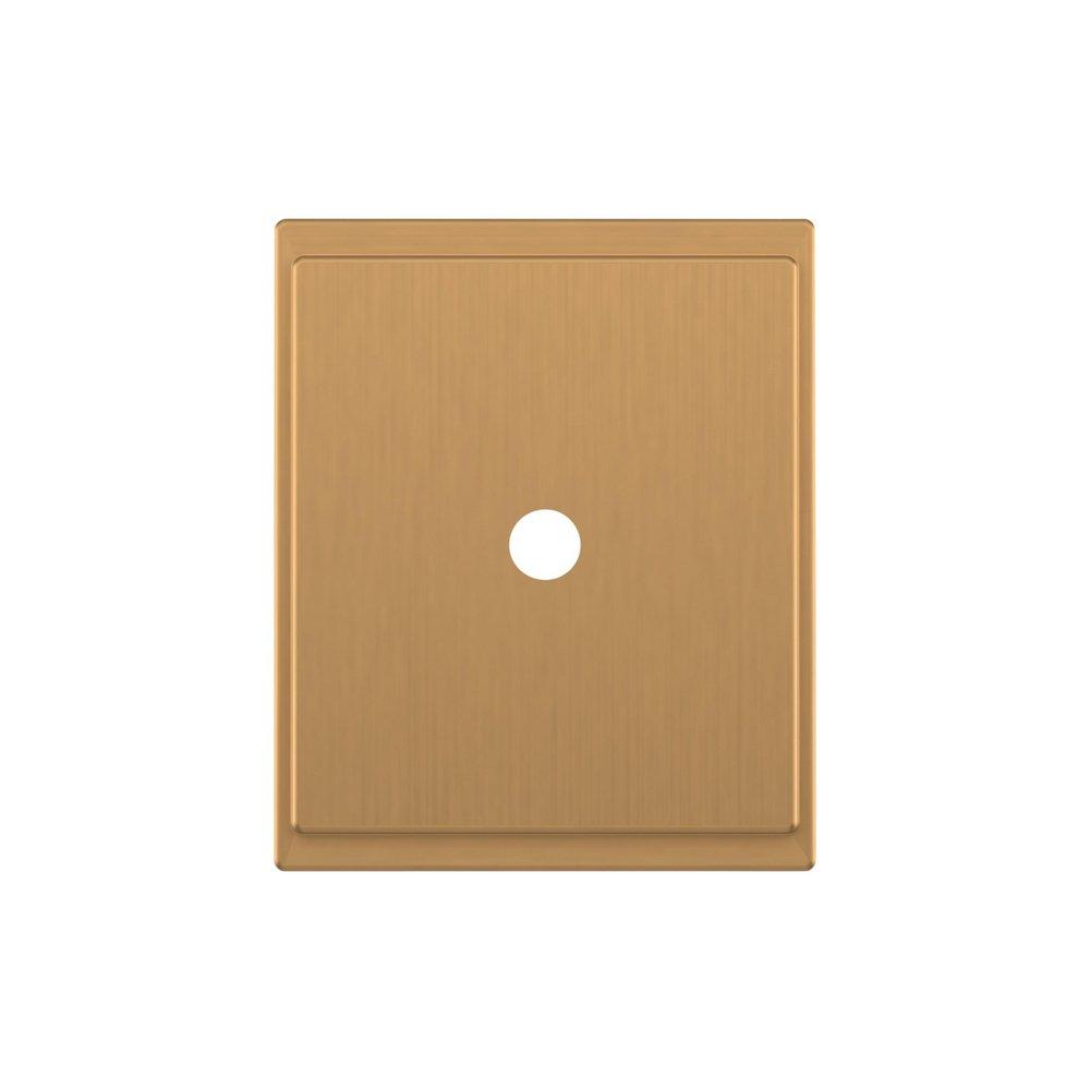 Signature Hardware Brushed Gold 1-5/8 in. Cabinet Knob Backplate Brushed Gold 