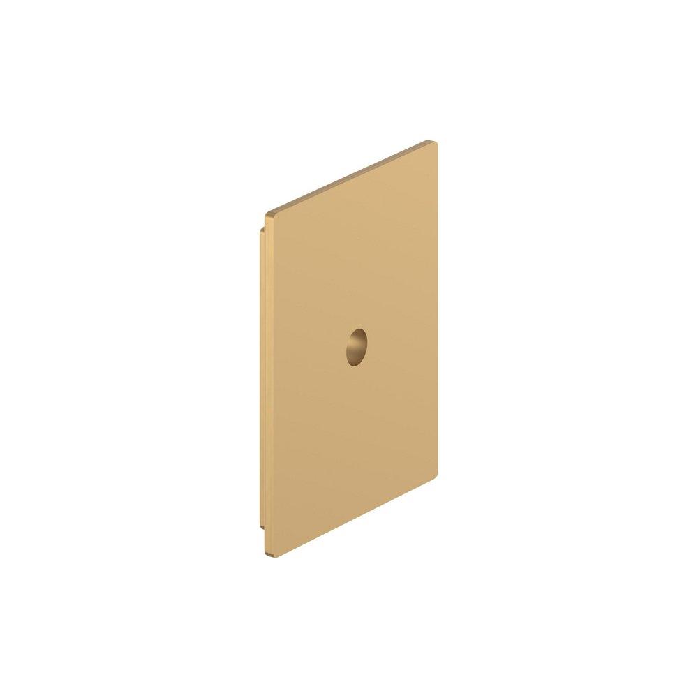 Signature Hardware Champagne Bronze 1-5/8 in. Cabinet Knob Backplate Brushed Gold 