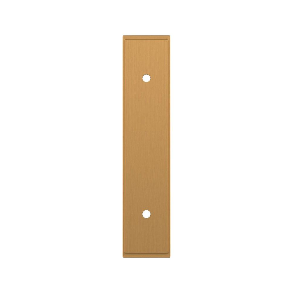 Signature Hardware Brushed Gold 3 in. Cabinet Pull Backplate Brushed Gold 
