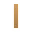 Signature Hardware Brushed Gold 3-3/4 in. Cabinet Pull Backplate Brushed Gold 