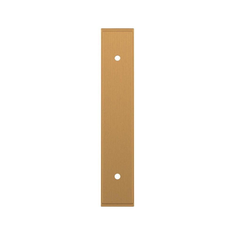 Signature Hardware Brushed Gold 3-3/4 in. Cabinet Pull Backplate Brushed Gold 
